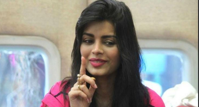 Bigg Boss 8, Sonali Raut, Bigg Boss house