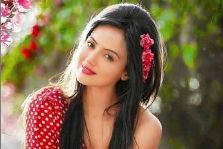 Sana Khan, Bigg Boss Halla Bol, Bigg Boss 8