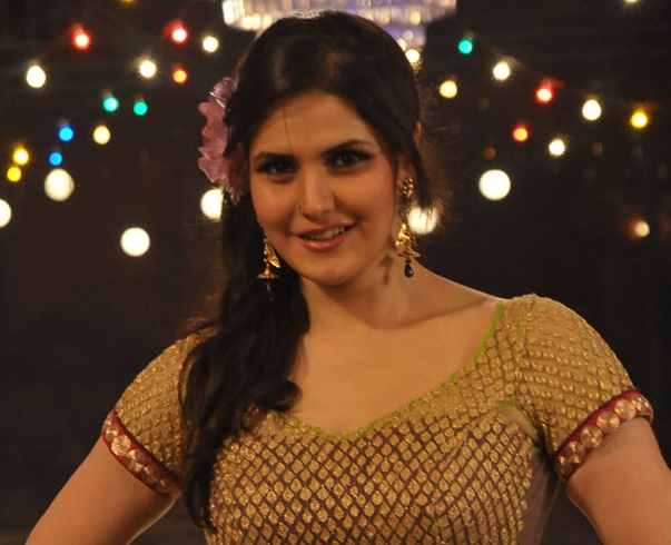 Hate Story, Zarine Khan