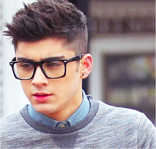 Hollywood, Zayn Malik