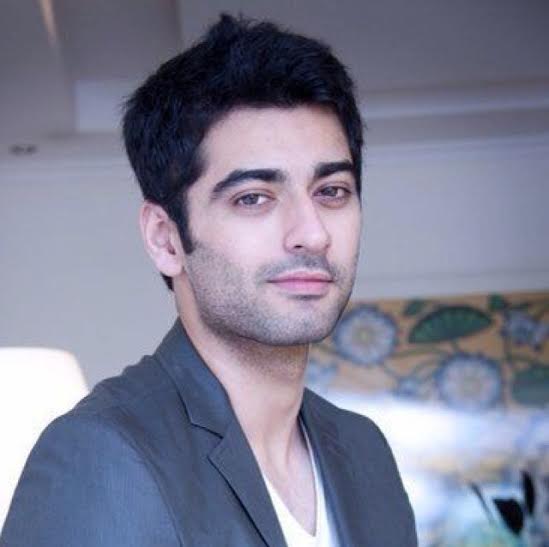 Qubool Hai, Harshad Arora, television show