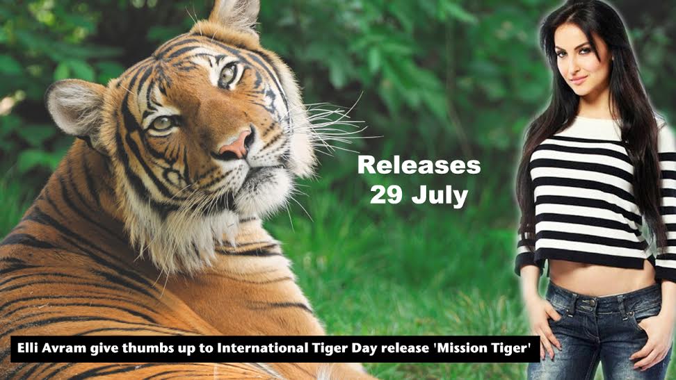 Elli Avram, International Tiger Day, Mission Tiger