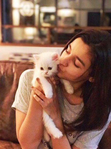 Alia Bhatt, international cat day