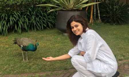 Shamita Shetty, Ananda, holiday