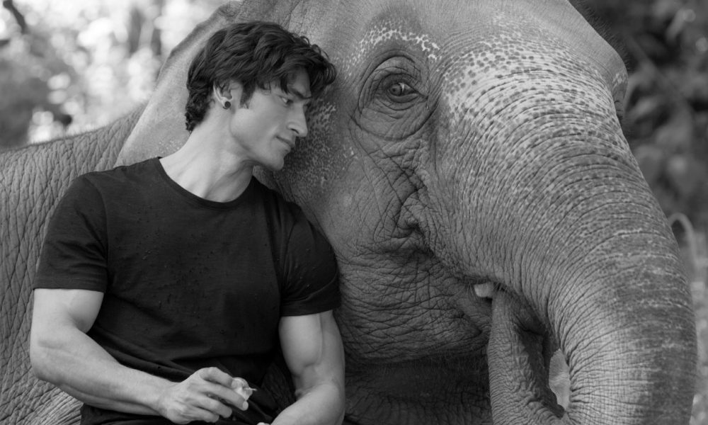 Vidyut Jammwal, Junglee