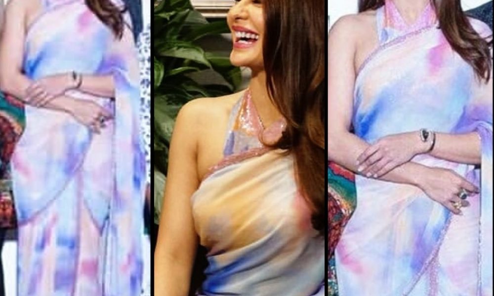 Jacqueline Fernandez, saree, Dabanng tour, press conference, USA, BollywoodDhamaka