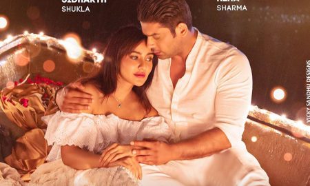 Sidharth Shukla, Neha Sharma, Dil Ko Karaar Aya, Fans