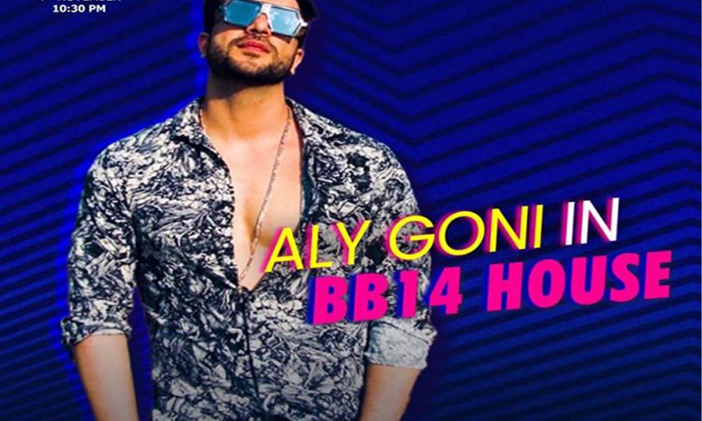 Aly Goni, Bigg Boss