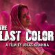 The Last Colour