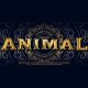 Animal, Anil Kapoor, Ranbir Kapoor, Parineeti Chopra