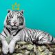 Jungle Mantra, The White Tiger, Divine
