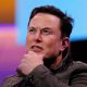 Dogecoin, Elon Musk