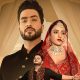 Jasmin Bhasin, Aly Goni