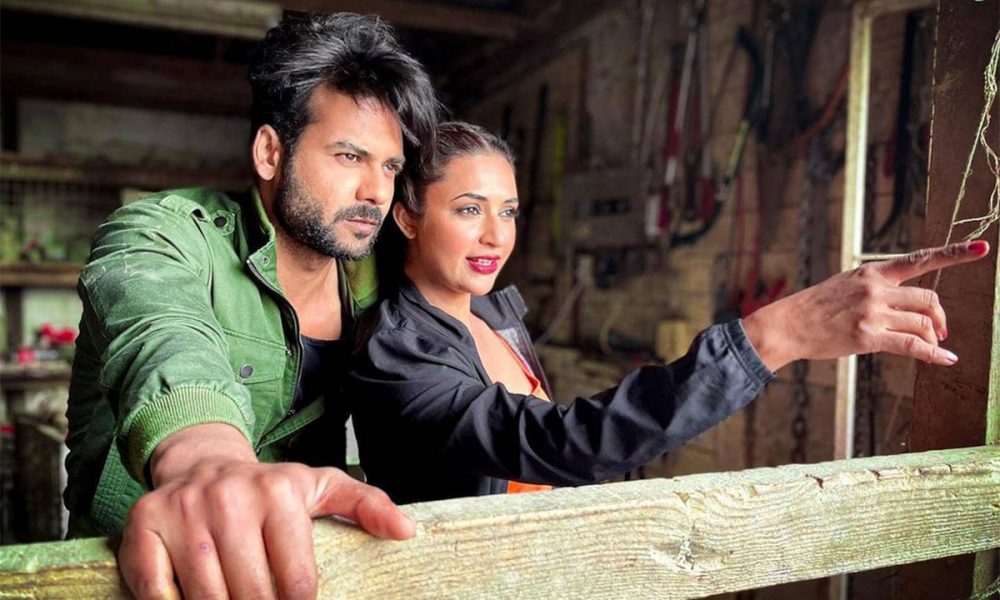 Divyanka Tripathi, Vishal Aditya Singh