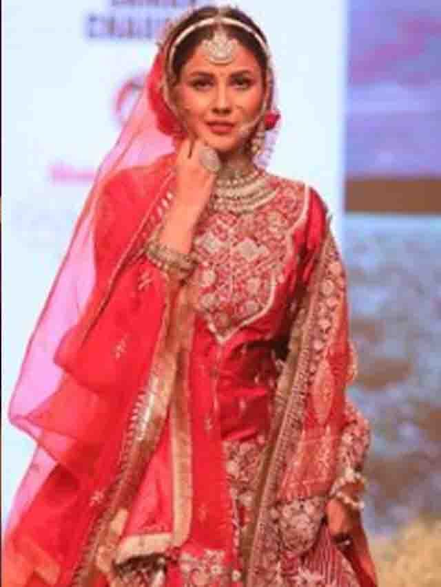 Will you marry me  Shehnaaz Gill?
