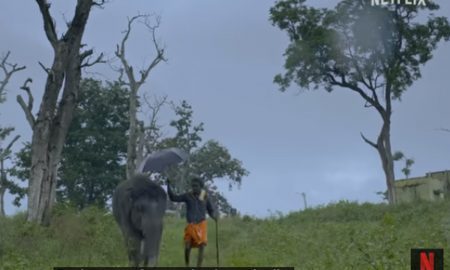 Official Trailer, The Elephant Whisperers, Netflix India
